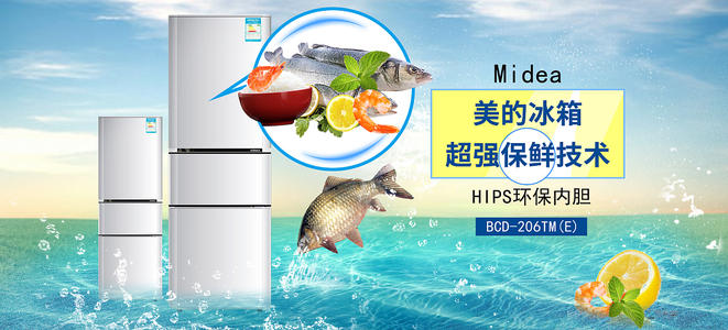 办假的TESOL证书